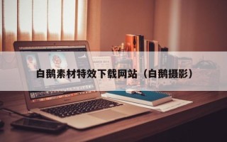 大兴安岭白鹅素材特效下载网站（白鹅摄影）